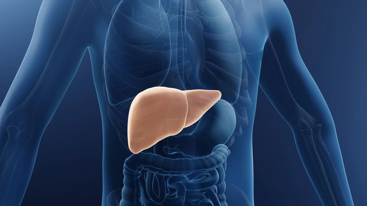 Cáncer de hígado: datos importantes