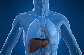Cirrosis: Qué es, causas y síntomas