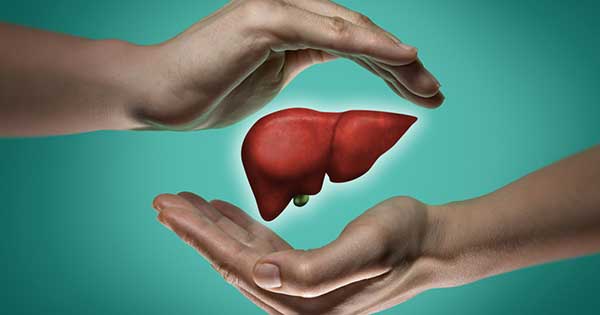 El hígado: clave para una vida saludable