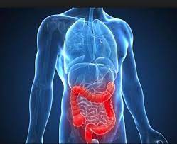 ¿Cuáles son las causas y síntomas de la enfermedad de Crohn?