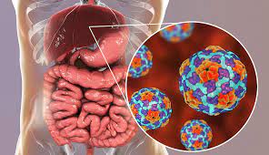 Hepatitis A: ¿Qué es y cómo se genera?